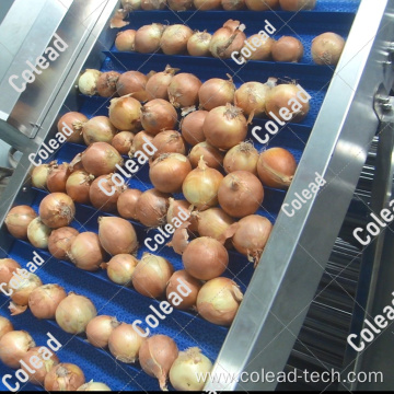 Automatic vegetable grading sorting machine